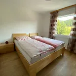 Traumhaus Apartman Flattnitz